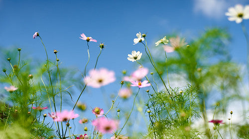Les émotions et les couleurs des bijoux