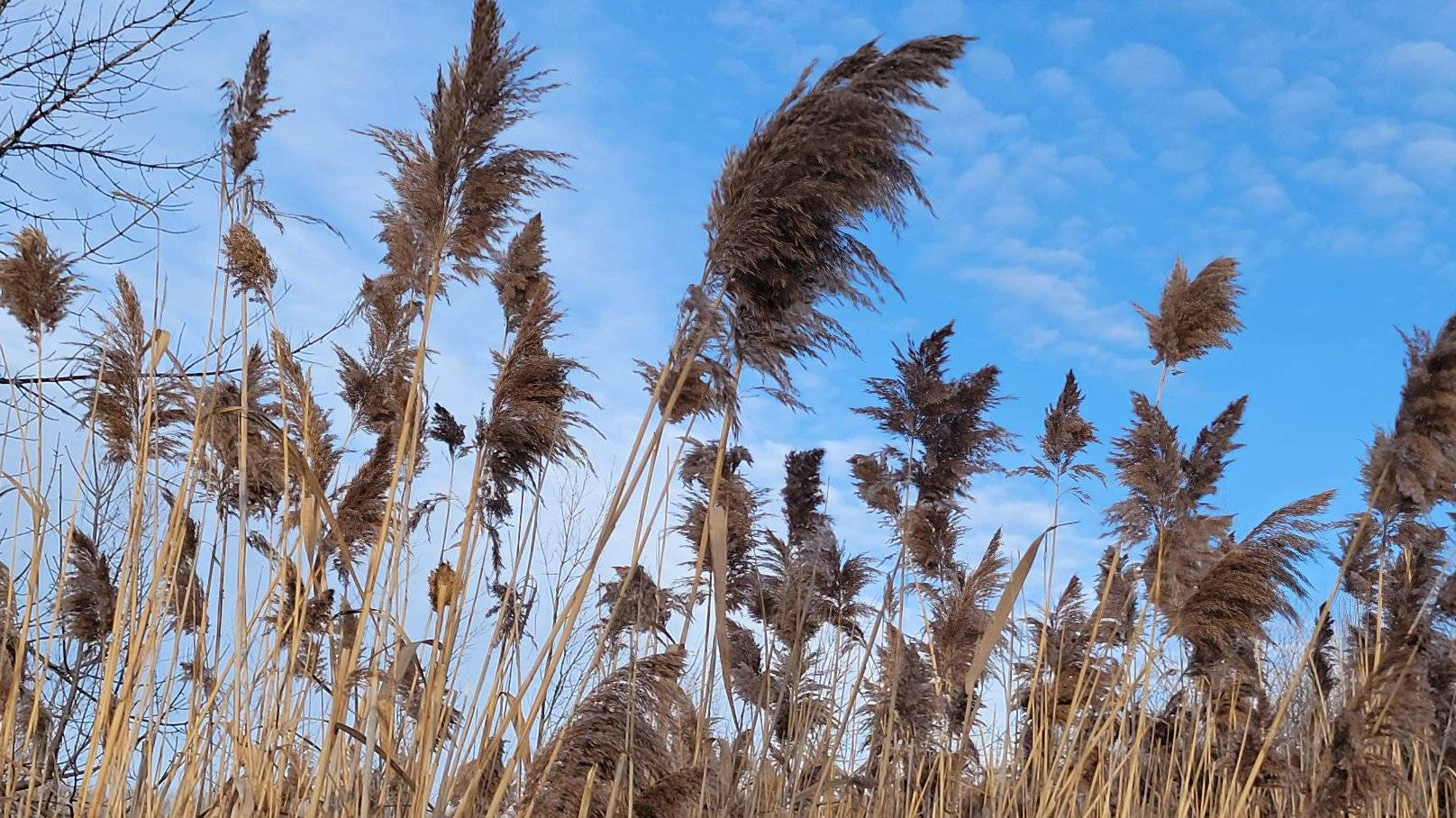 Des bijoux respectueux de l'environnement