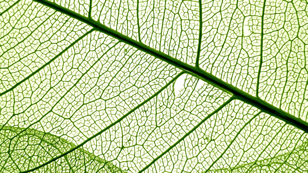 Bijoux Hypoallergique